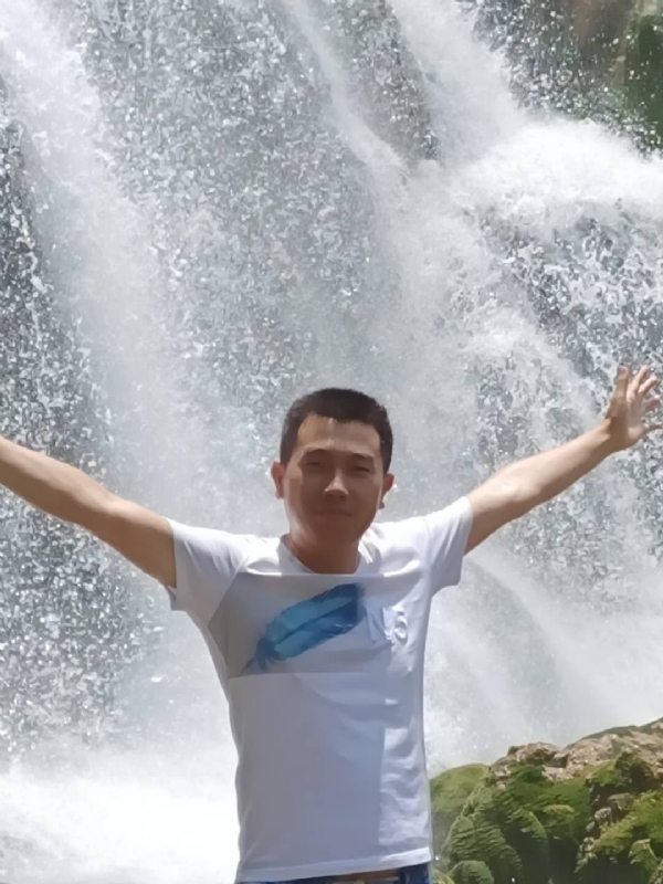 挪威森林的第二张照片--凯里认干亲服务网